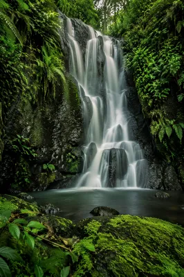 Secluded Tropical Jungle Waterfall in Lush Green