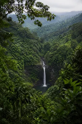 Secluded Tropical Jungle Waterfall منظر