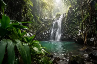 Secluded Tropical Waterfall in Lush Jungle