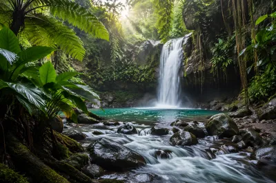 Hidden Tropical Jungle Waterfall at Dawn