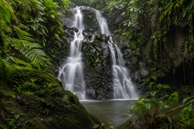 Secluded Tropical Jungle Waterfall in Lush Green