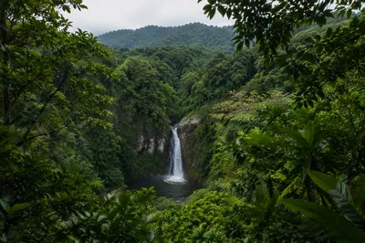 Secluded Tropical Jungle Waterfall Valley