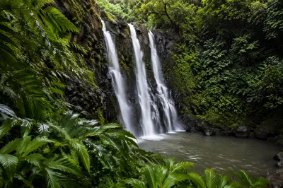 Tropical Jungle Waterfall After Rain