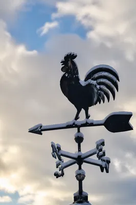Snowy Rooster Weather Vane Against Winter Sky