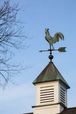 Antique Rooster Weather Vane on Cupola