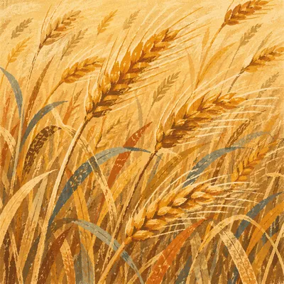 Golden Hour Wheat Field in Warm Breeze