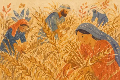Golden Hour Wheat Field in Warm Breeze
