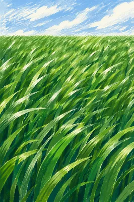 Windy Green Grass Field Under Moving Clouds