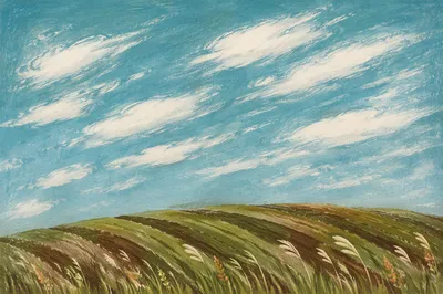 Windswept Grass Field Under Racing Clouds