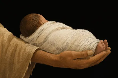 Peaceful Newborn Swaddled in Protective Hands