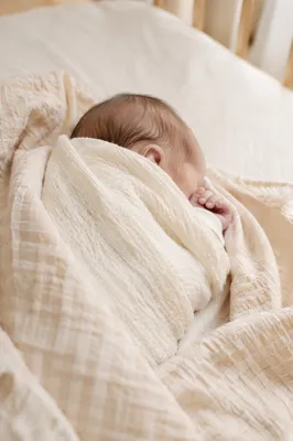 Peaceful Swaddled Newborn in Soft Nursery