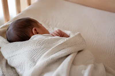 Peaceful Swaddled Newborn in Soft Blanket