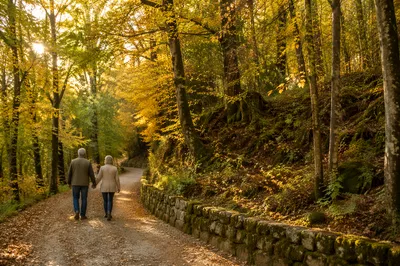 Mature Couple on Peaceful Autumn Forest Path