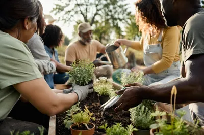 Diverse Community Gardening Together at Sunrise