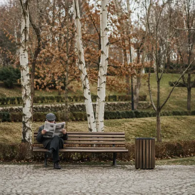 Elderly Man Reading on Park Bench