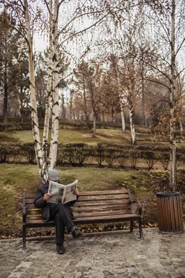 Elderly Man Reading Newspaper in Park
