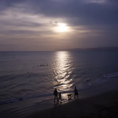 Family Walking Along Beach at Sunset