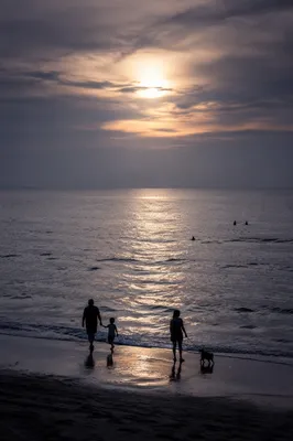 Family Walking Beach at Sunset Silhouette