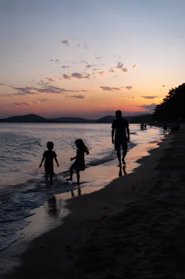 Family Silhouettes Walking on Beach at Sunset