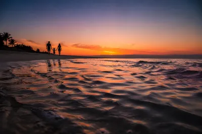 Family Silhouettes Walking on Sunset Beach