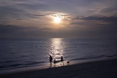 Family Silhouettes Walking on Beach at Sunset
