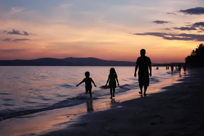Family Silhouettes Walking on Beach at Sunset