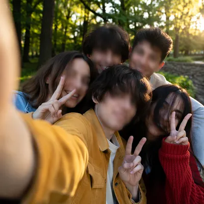 Carefree Friends Group Selfie in Park