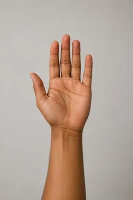 Open Palm Hand Reaching Upward Portrait