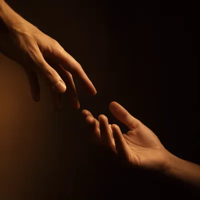 Hands Reaching in Warm Studio Light