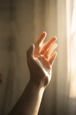 Hand Reaching Toward Morning Light