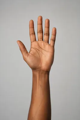 Upward Reaching Hand in Studio Portrait