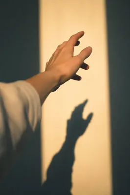 Hand Reaching Toward Warm Window Light