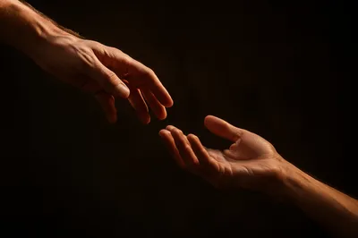 Hands Reaching in Trust and Connection
