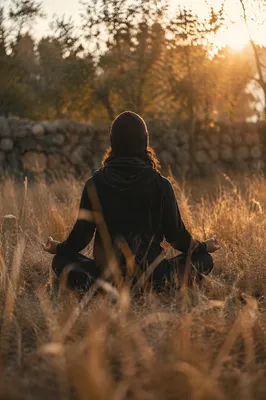 Peaceful Outdoor Meditation in Golden Meadow