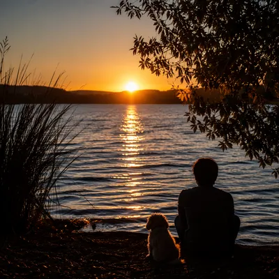 Contemplative Lakeside Silhouette at Golden Sunset