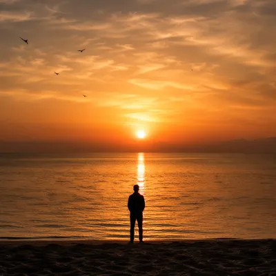 Lone Silhouette at Dramatic Sunset Shoreline