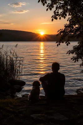 Contemplative Silhouette by Golden Lakeside Sunset