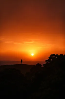 Lone Silhouette at Reverent Sunset