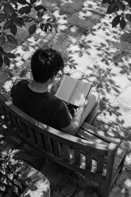 Young Adult Reading Bible on Park Bench