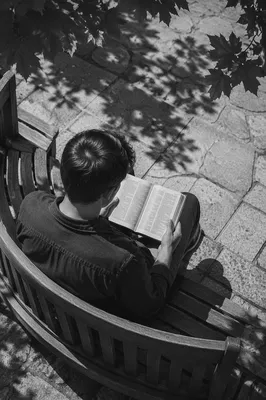 Young Adult Reading Bible on Park Bench