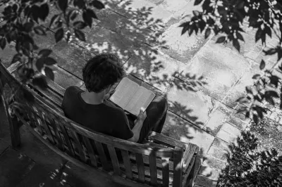 Young Adult Reading Bible on Park Bench