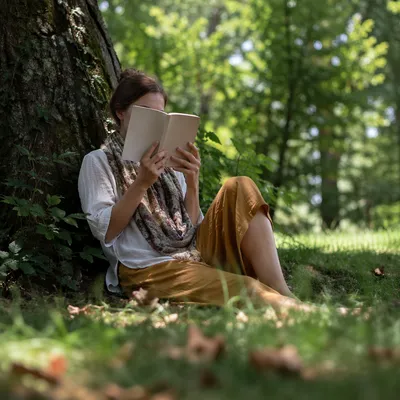 Woman Reading Quietly Beneath Summer Tree Shade