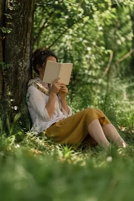 Woman Reading Quietly Under Summer Tree