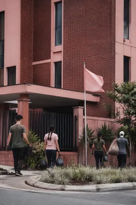 Young Adults Serving on Overseas Mission