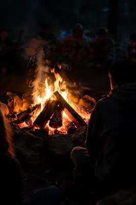 Bonfire With Guitar Silhouettes at Night