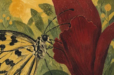 Butterfly Feeding on Crimson Flower Macro