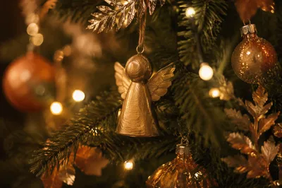 Golden Angel Ornament on Christmas Pine