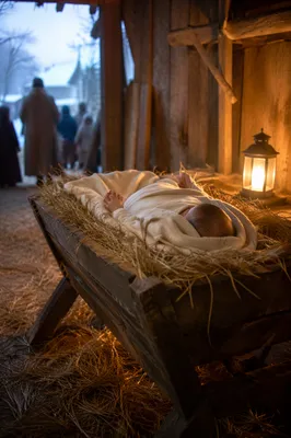 Baby Jesus in Manger at Winter Dawn