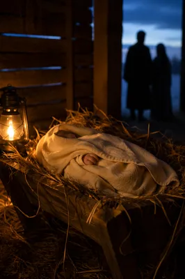 Baby Jesus in Straw Manger at Dusk