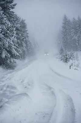 Blizzard Covered Rural Winter Road Scene